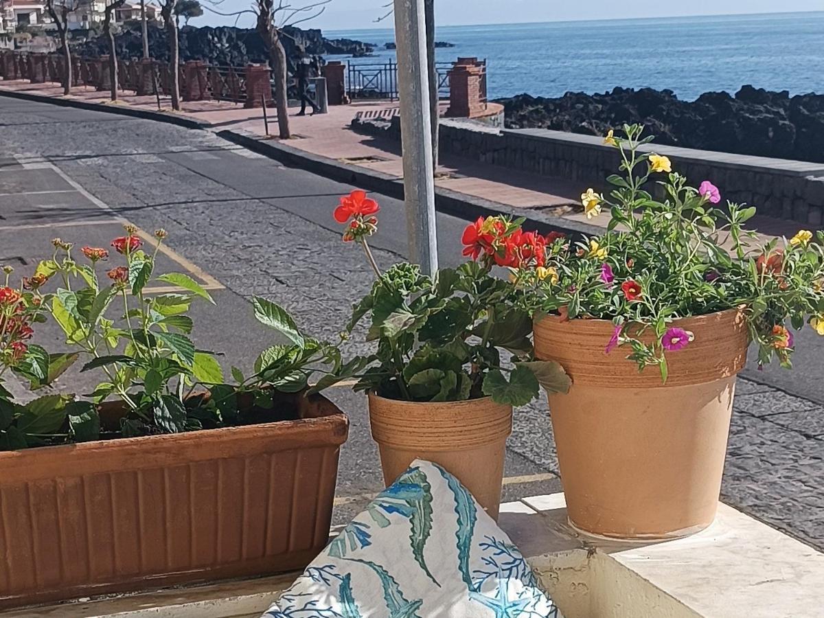 Nice Sicily Little Family Home 阿奇雷亚莱 外观 照片